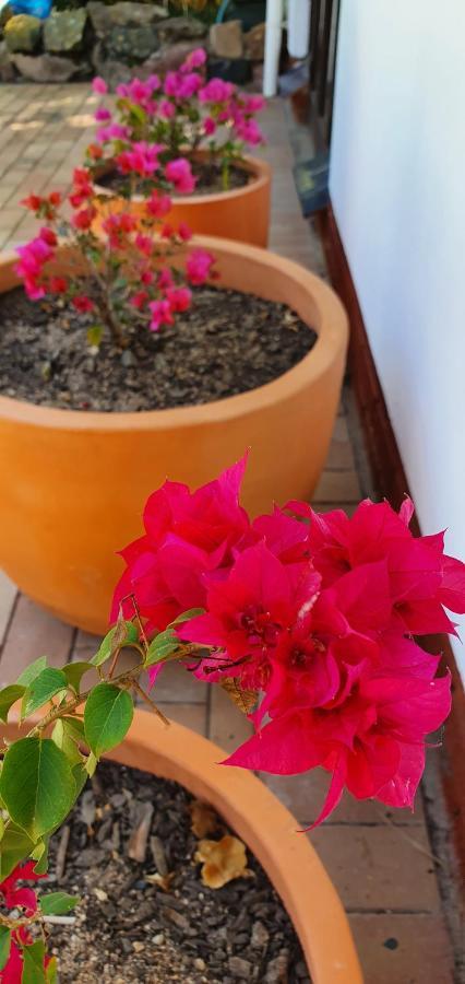 סקוטבורג Summer Sand Holiday Cottages מראה חיצוני תמונה
